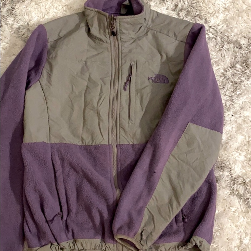 The north face fleece